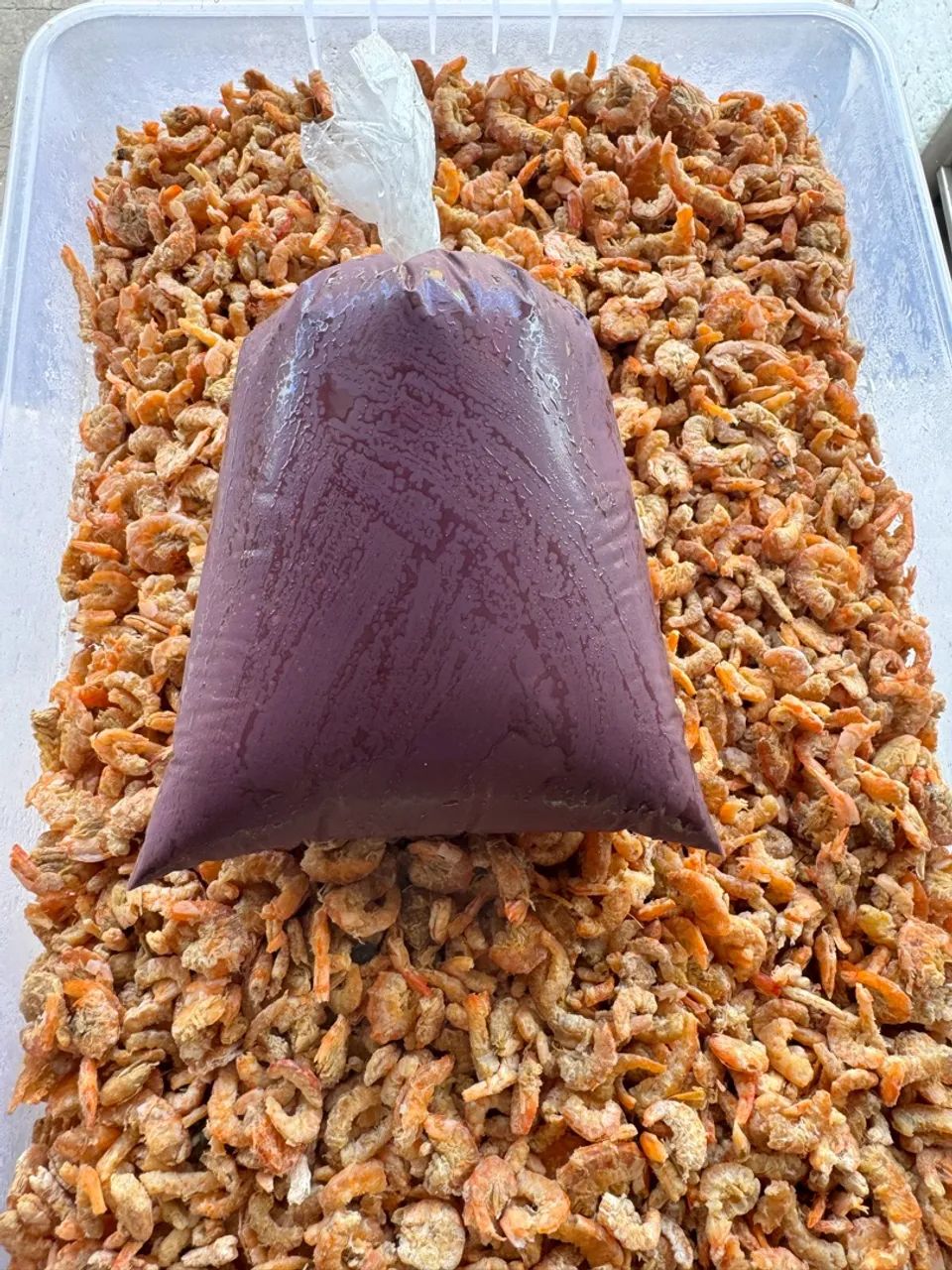 AÇAÍ ou JUÇARA! - Foto 2