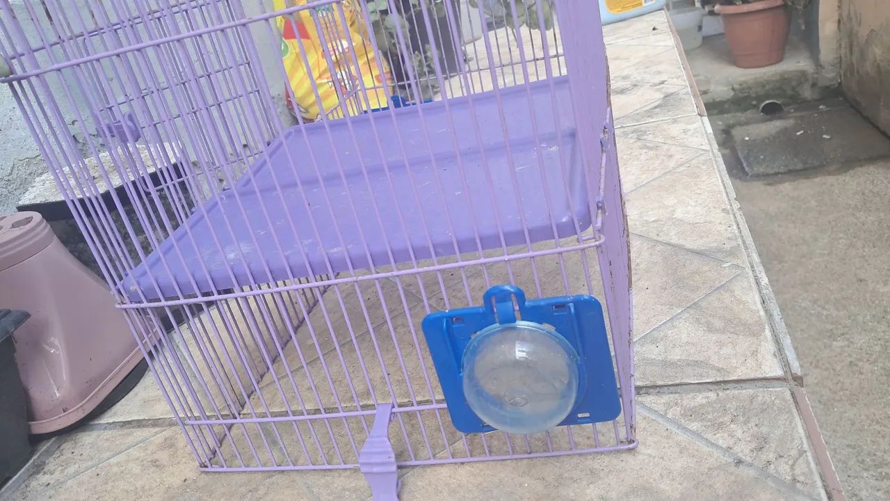 Gaiola hamster/ rato