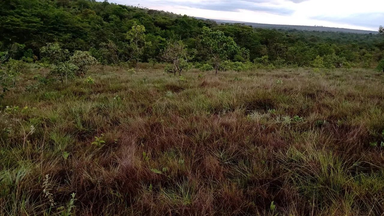 Chácaras a venda  - Foto 4