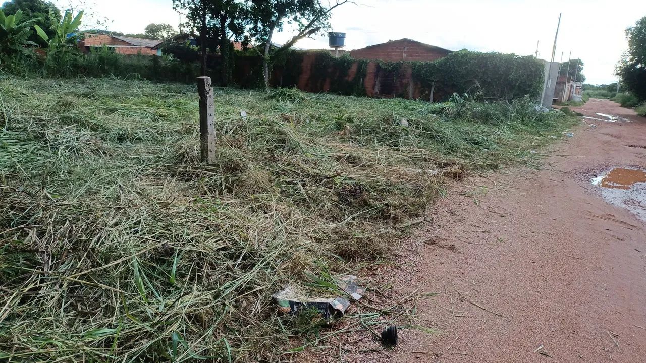 Roçada de terrenos/ Roçador - Foto 4