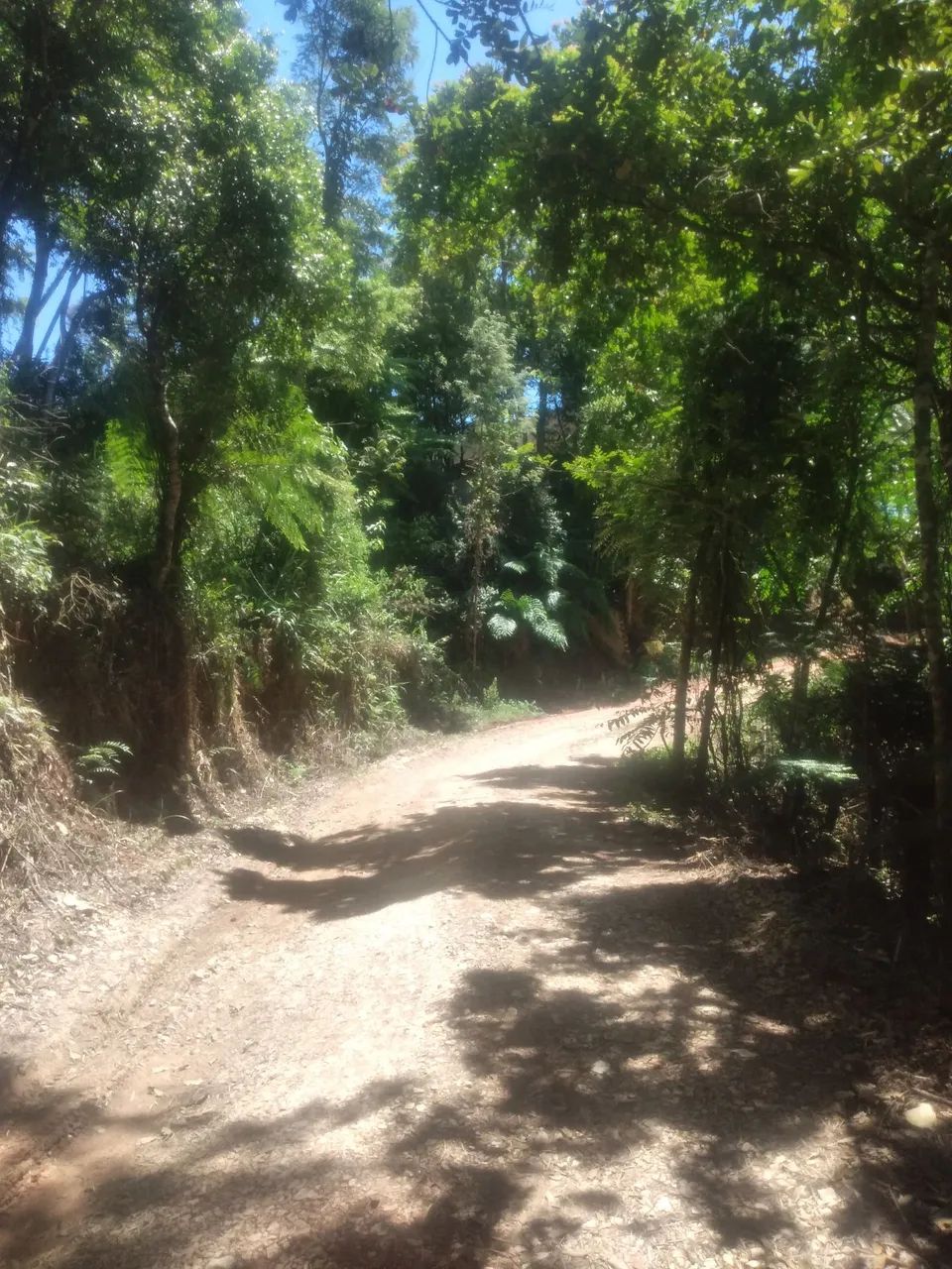 Vendo excelentes terrenos a partir de 200 m2 - Foto 4
