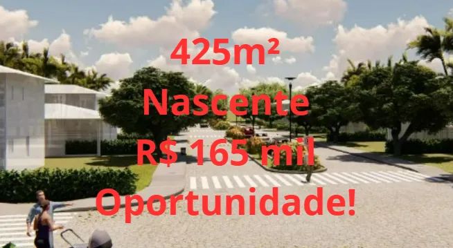 Foto - Mata de São João - Praia do Forte