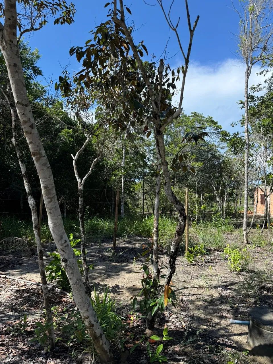 Terreno em Arraial d`Ajuda