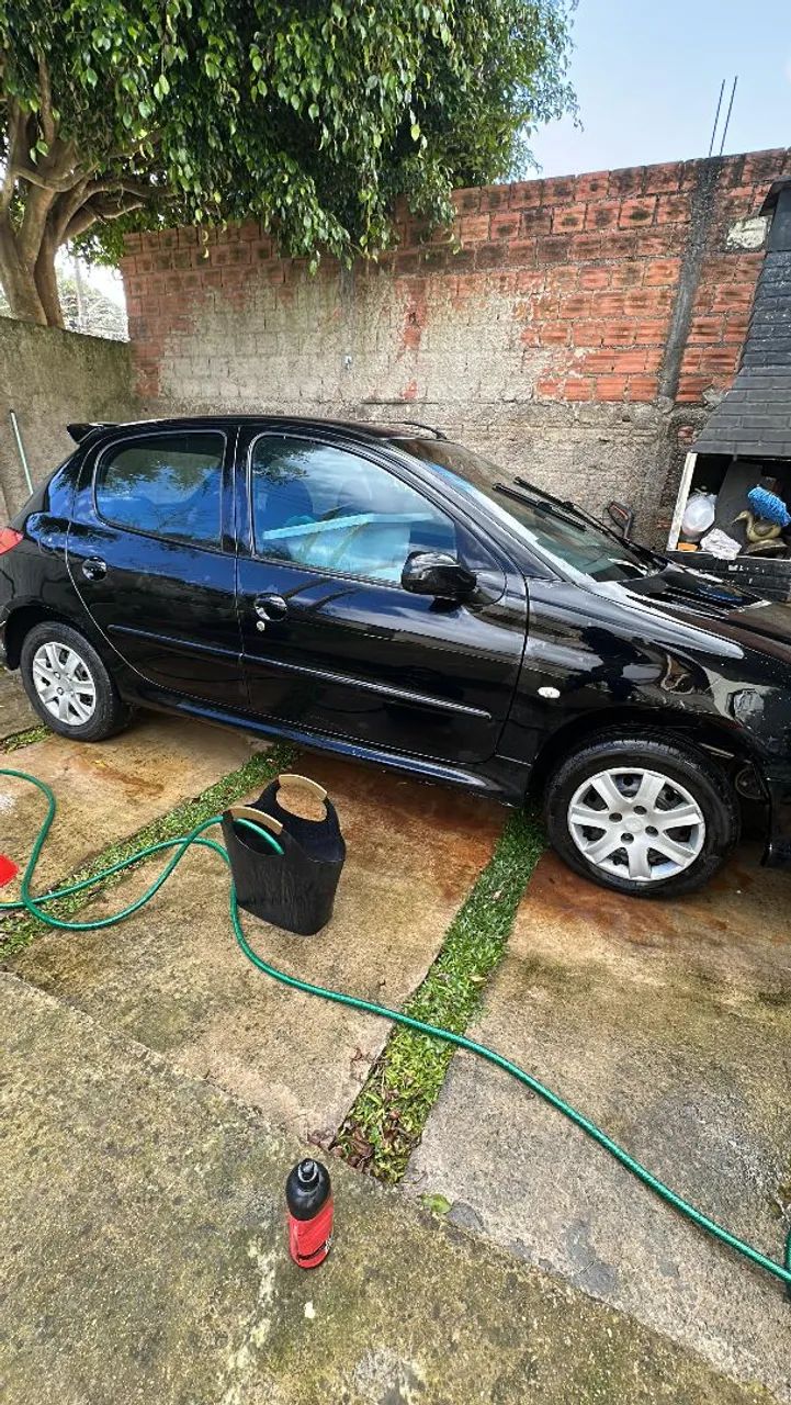 Peugeot 206 206 Presence 1.4/ 1.4 Flex 8V 5p 2008