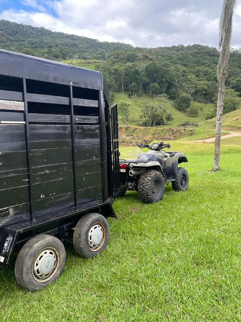 Reboque para Cavalos - Foto 2