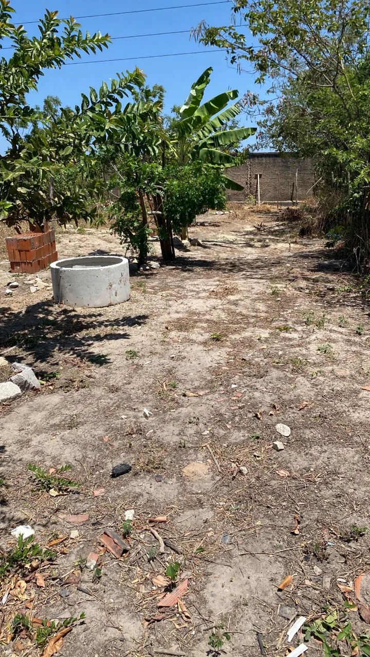 Terreno pra vender 6 por 50 - Foto 5