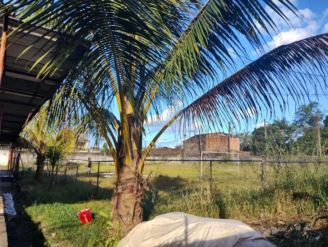ALUGO SÍTIO RESIDENCIAL OU COMERCIAL COM PISCINA - Foto 2