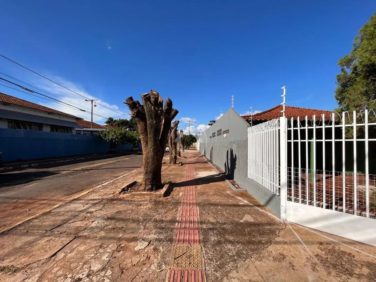 CASA AMPLA VILA JACY - Foto 3