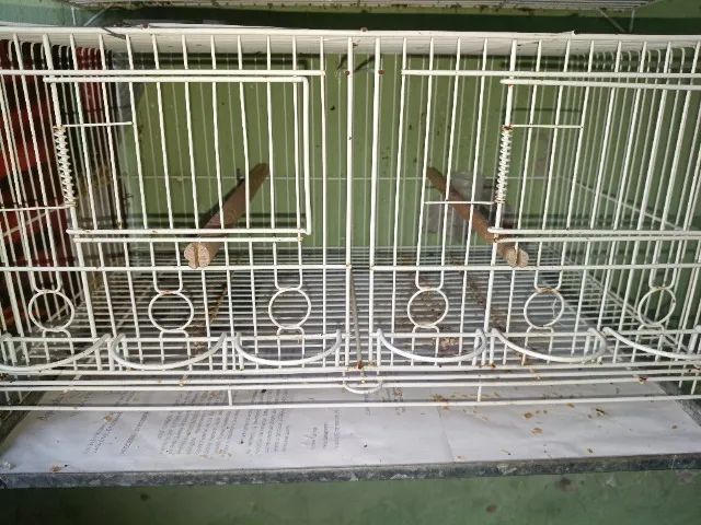 Vendo criadeiras de 6 comedouros em epox e fundo estendido e gaiola em epox.! - Foto 3
