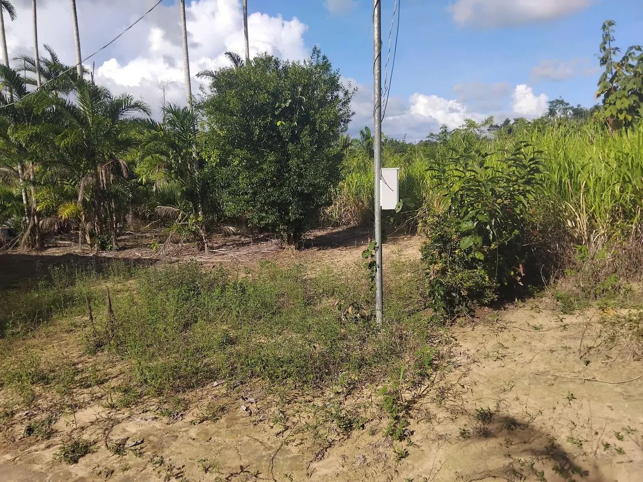 Terreno ruaral - Foto 2