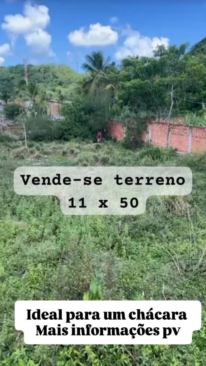 Vende_se terreno 