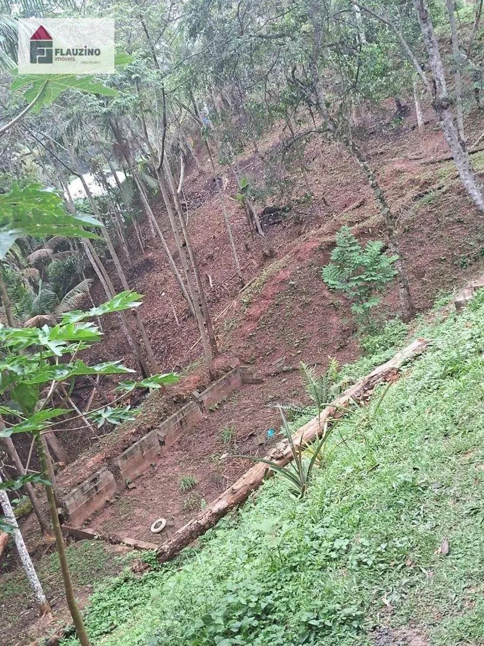 CHÁCARA SÃO LOURENÇO DA SERRA - Foto 4