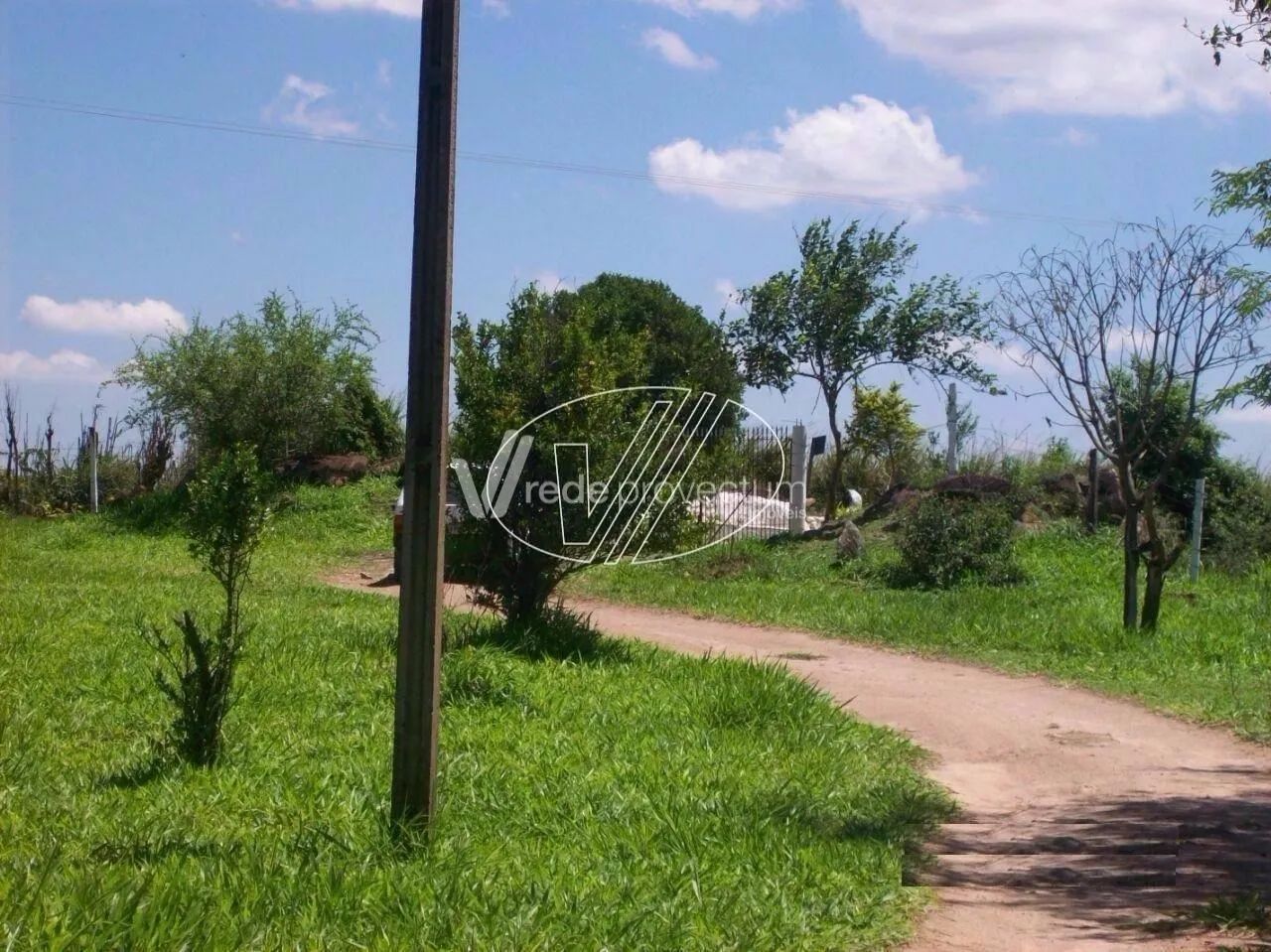 sítio - Jardim Carlos Gomes - Campinas - Foto 2