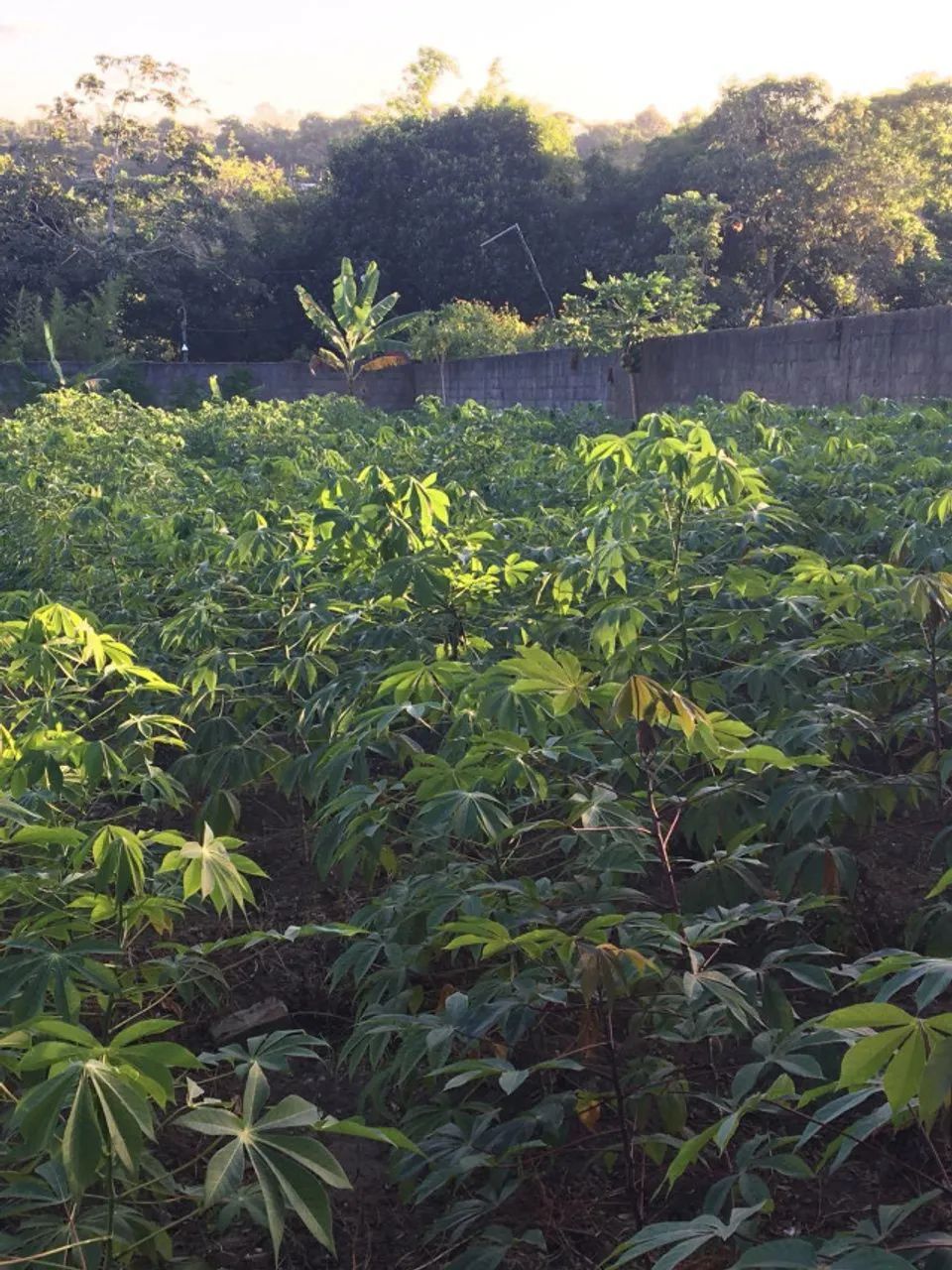 Terreno 1.000m2 de 20x50 - Condomínio Recanto de Aldeia KM 12! - Foto 10