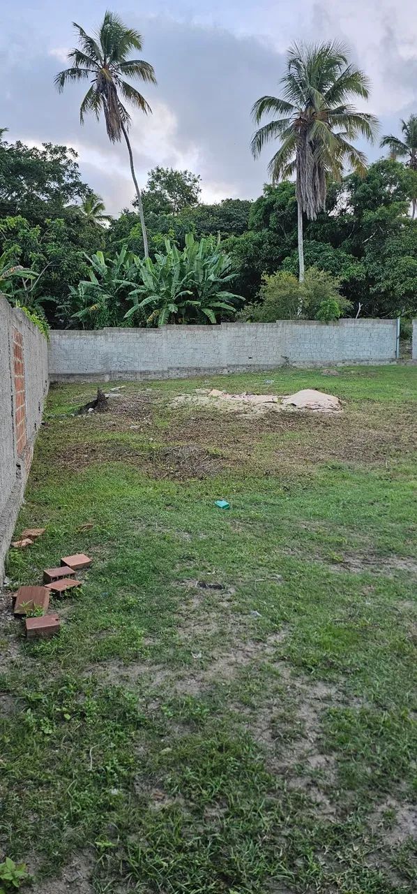 Terreno em Abreu e lima  - Foto 4