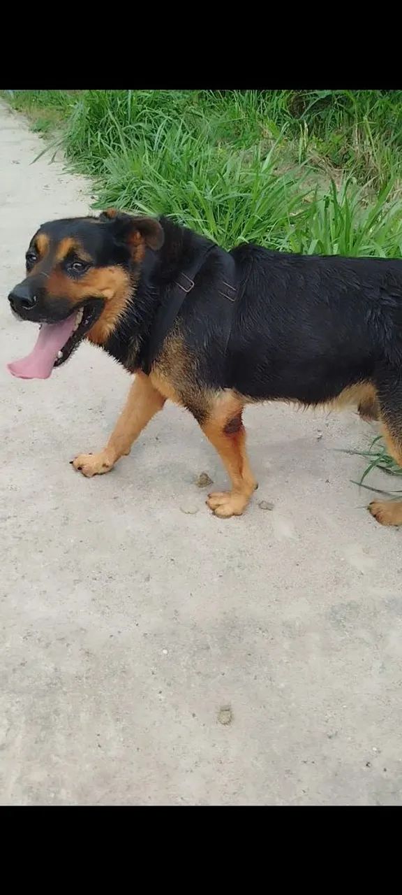 Procura namorada pra cruzar - Foto 3