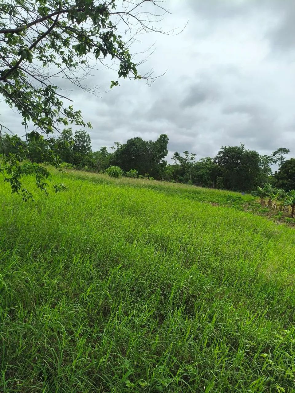 *?SITIO EM CANGAS ? - Foto 5