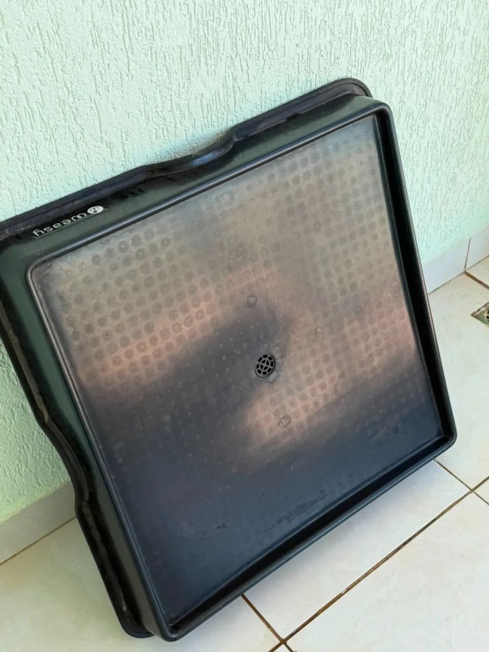 Weasy dog  - Foto 3