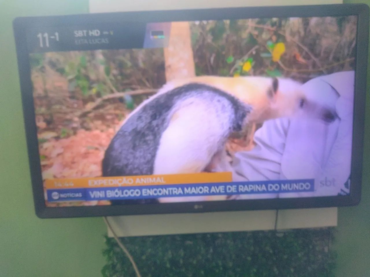 Smart TV LG 32 polegadas - Foto 3