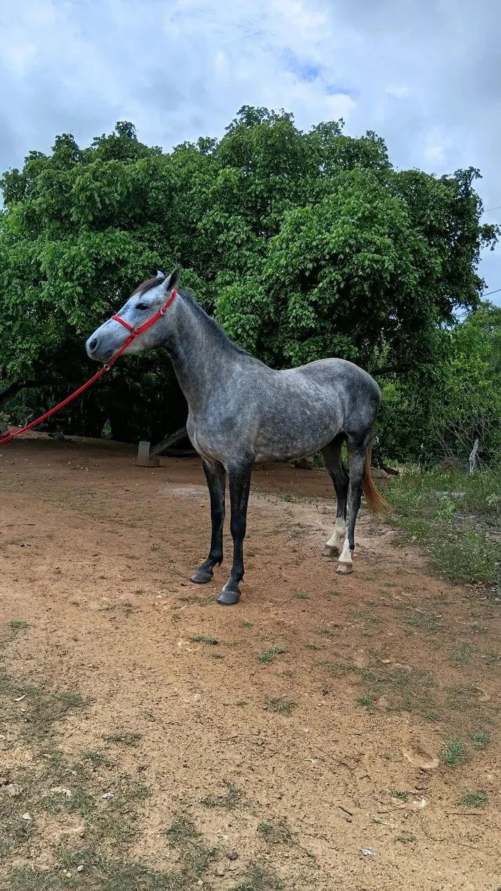 5000
