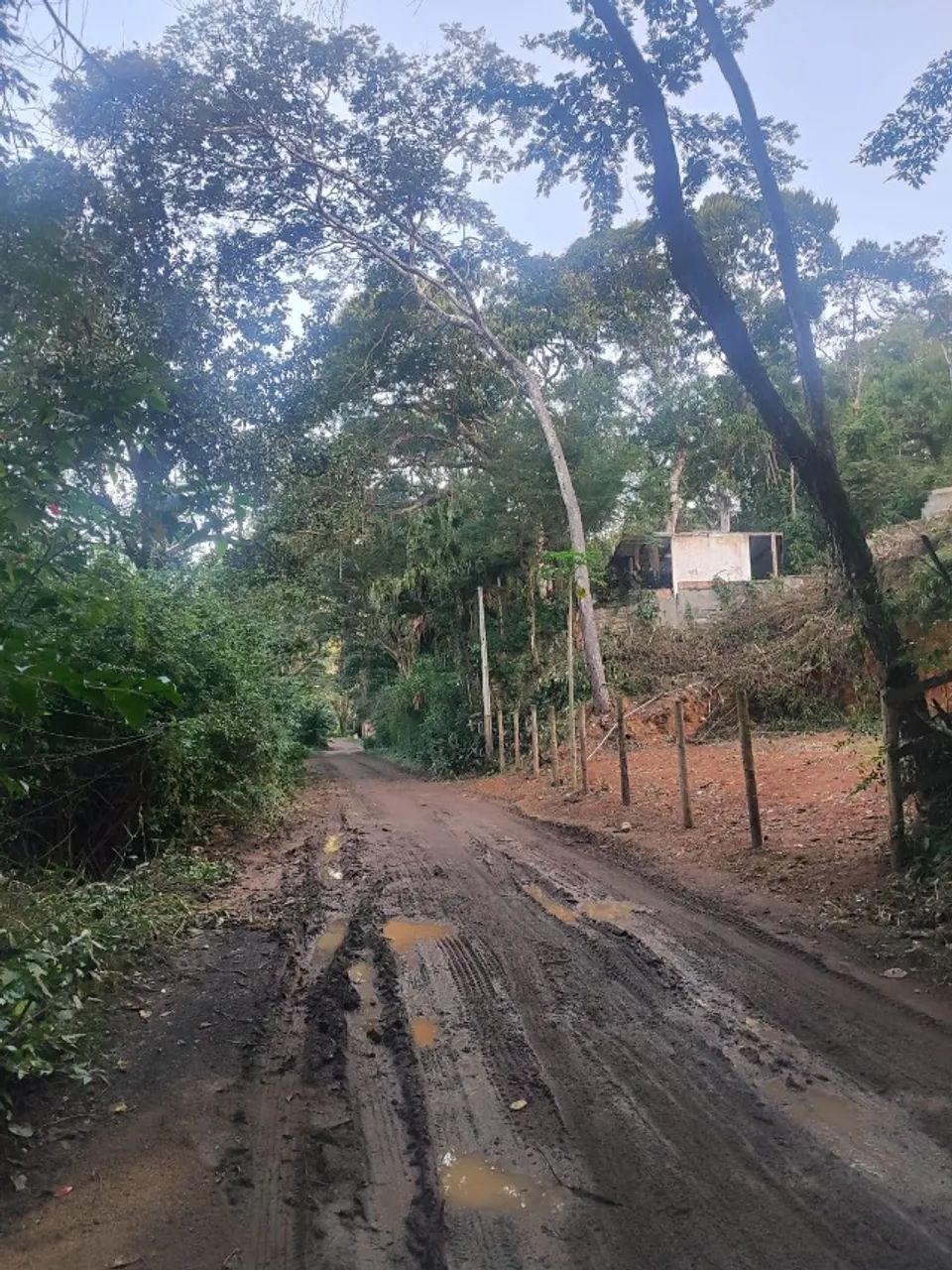 Foto - São Gonçalo - Alcântara