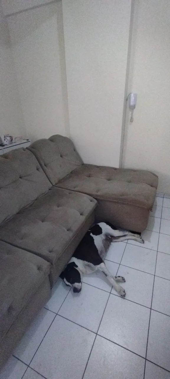 Vende-se sofá com 3m