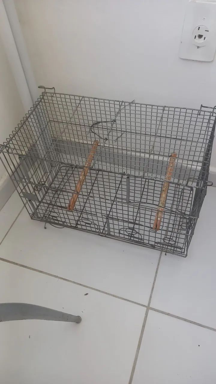 Vendo gaiola de ferro