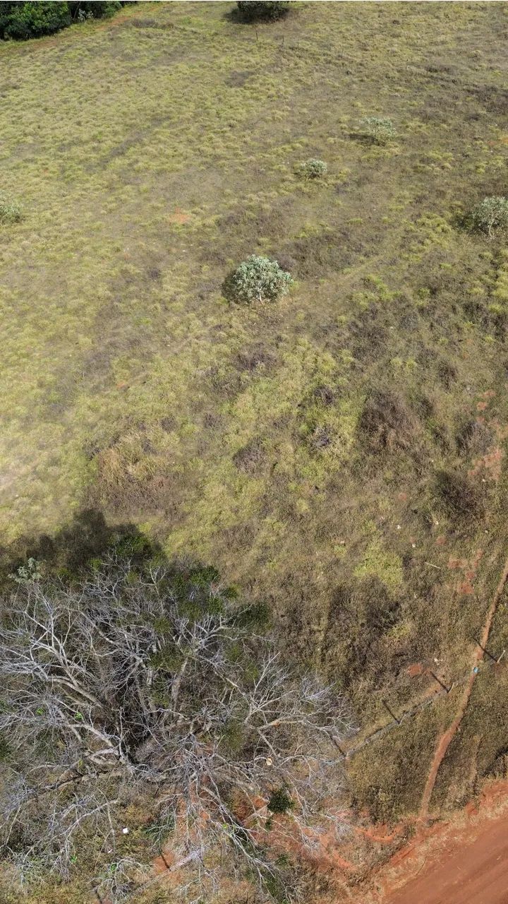 Chácara de 20.000m2 em Bonfinópolis com Rio 7 km da cidade  - Foto 3
