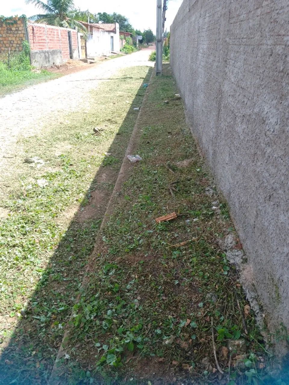  *46. Trabalho com roçadeira,limpeza terreno * - Foto 2