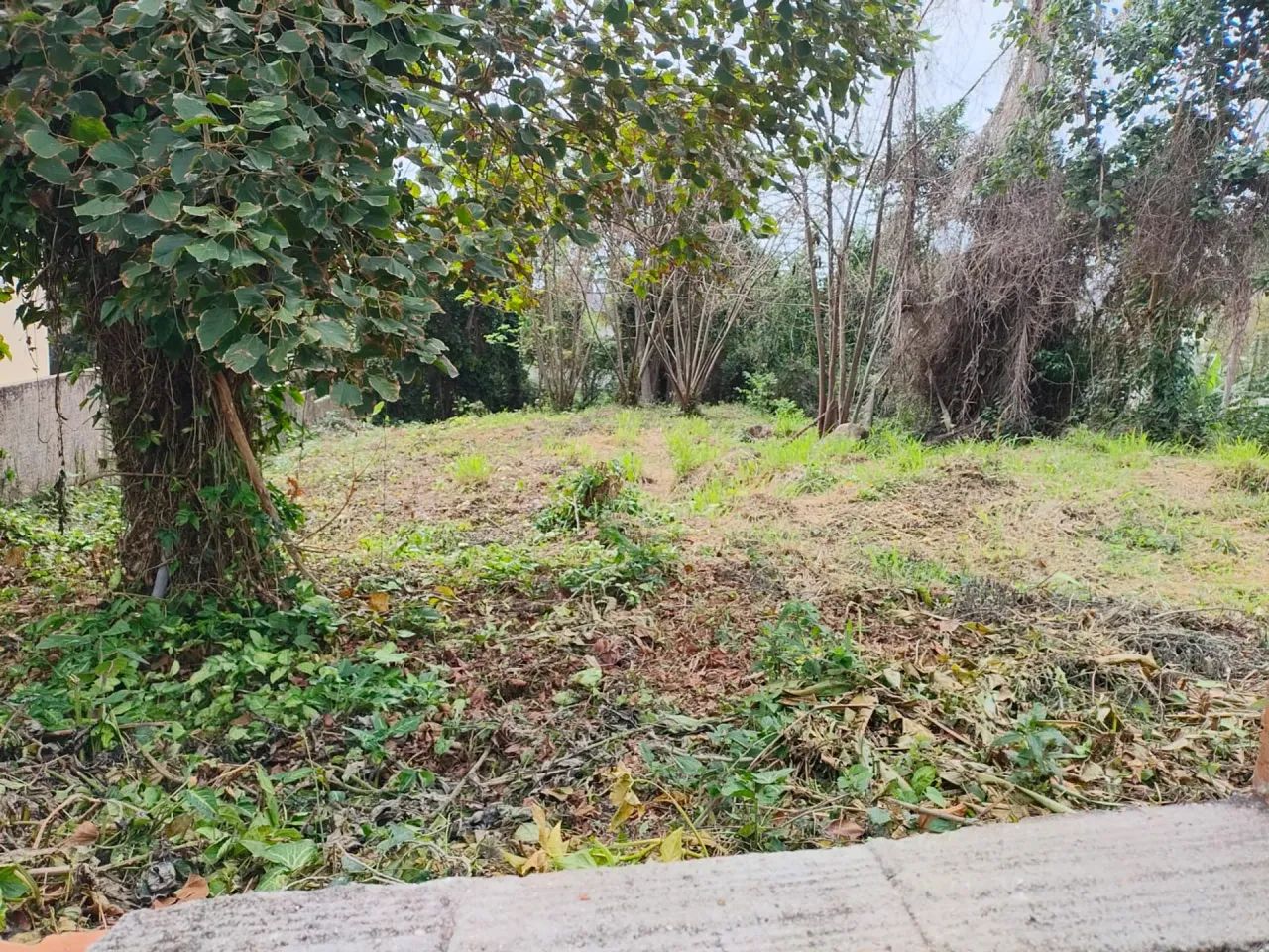 Imóvel para venda com 799 metros quadrados em Praia Brava - Florianópolis - SC - Foto 2