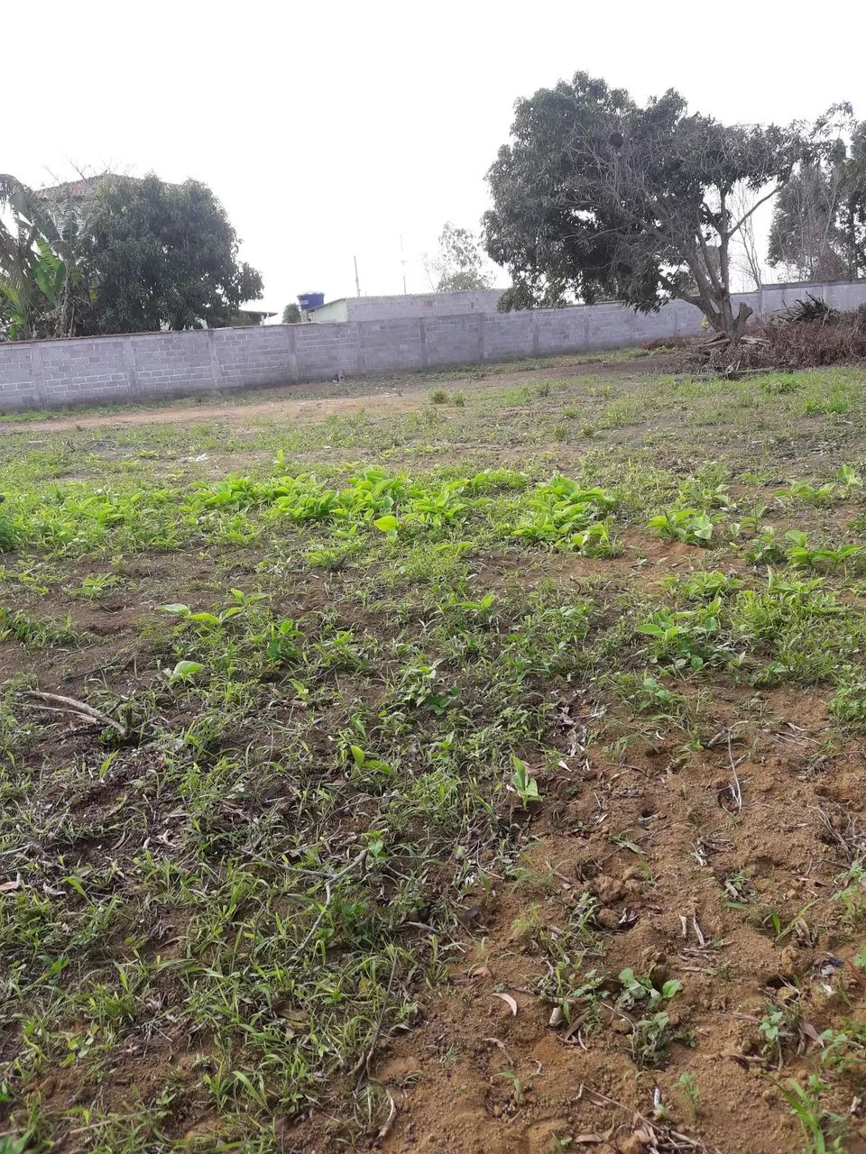 Quadra Lotes Jacaraípe 5.233m2