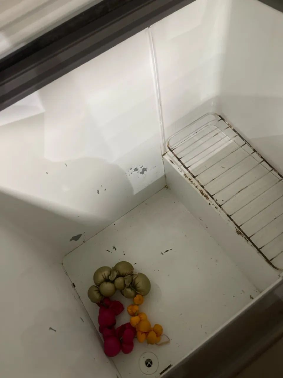 Freezer - Foto 2