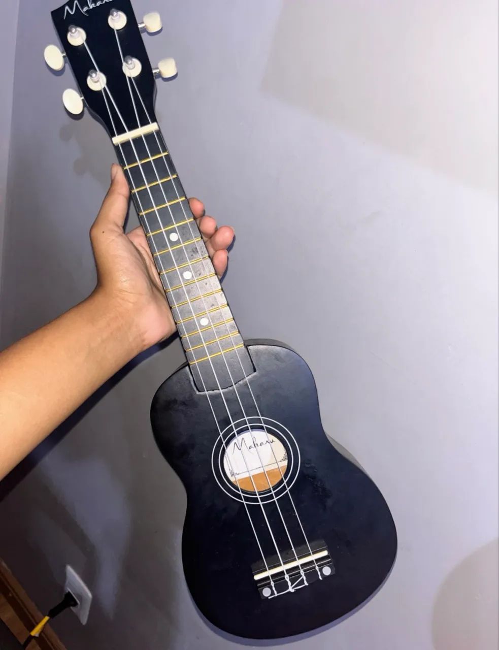 Ukulele com capa 
