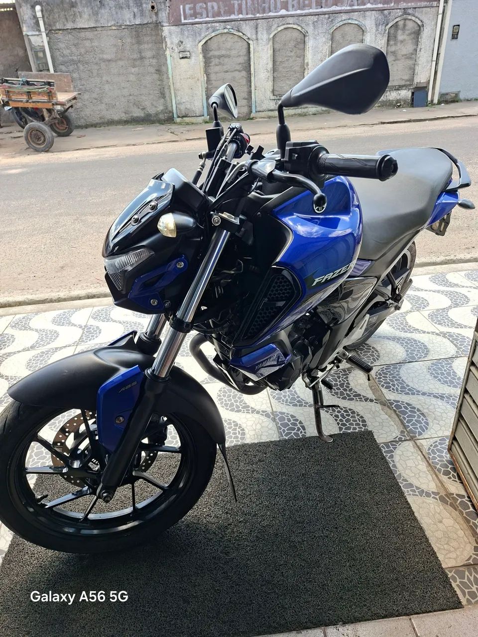 Fz15 2024