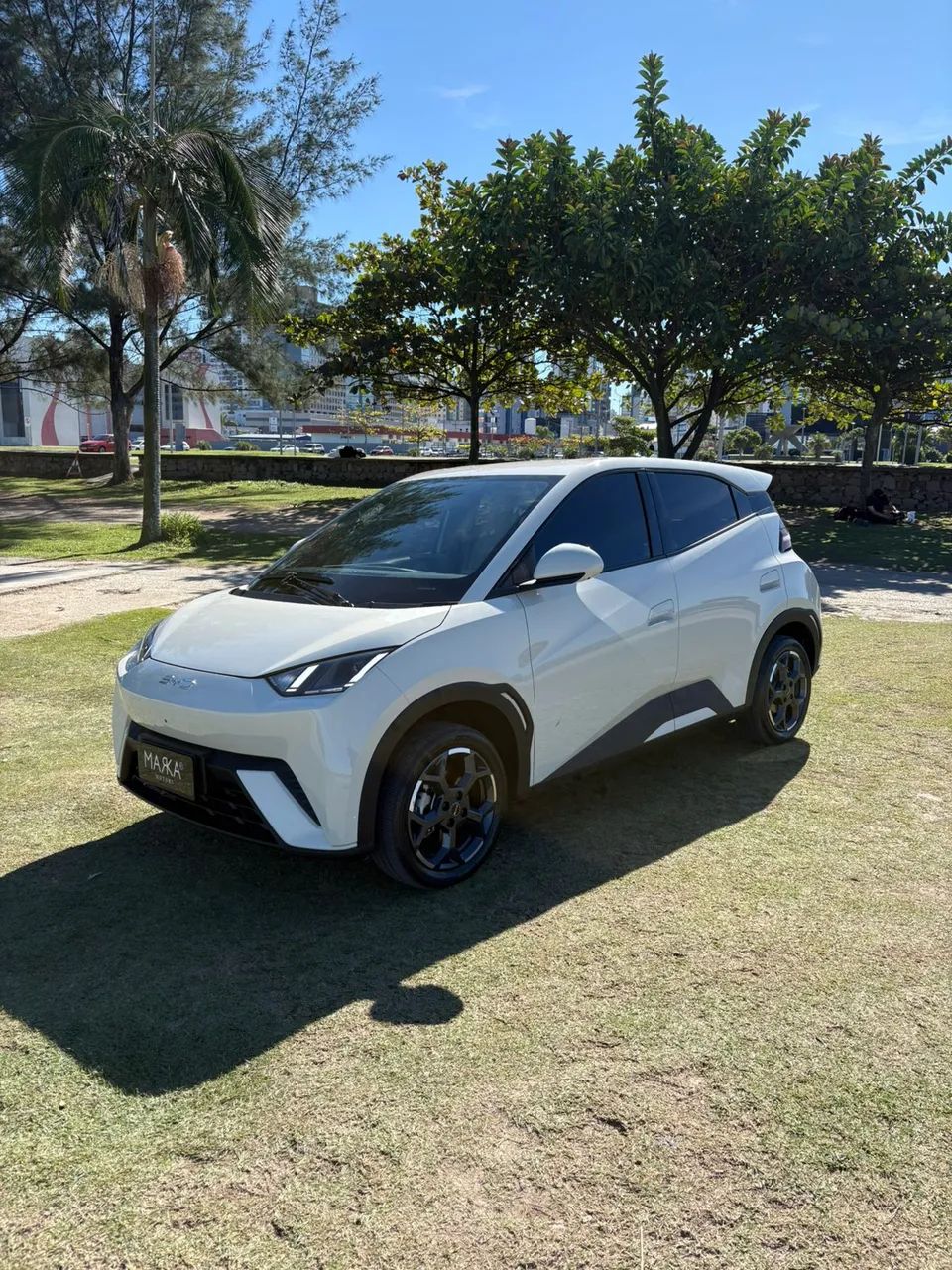 BYD Dolphin Mini (Elétrico) 2026 - Foto 3