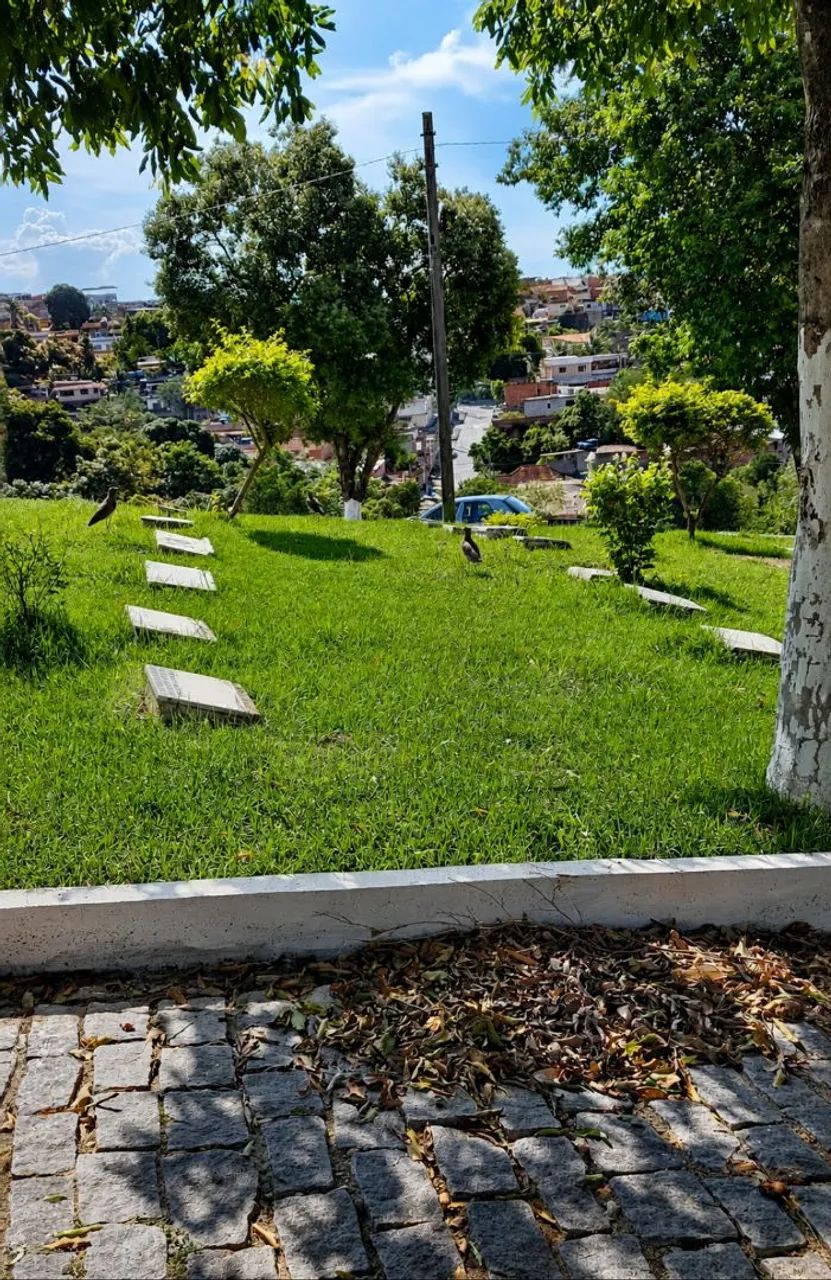 Jazigo Parque da Paz - Setor Bromélias  - Foto 4