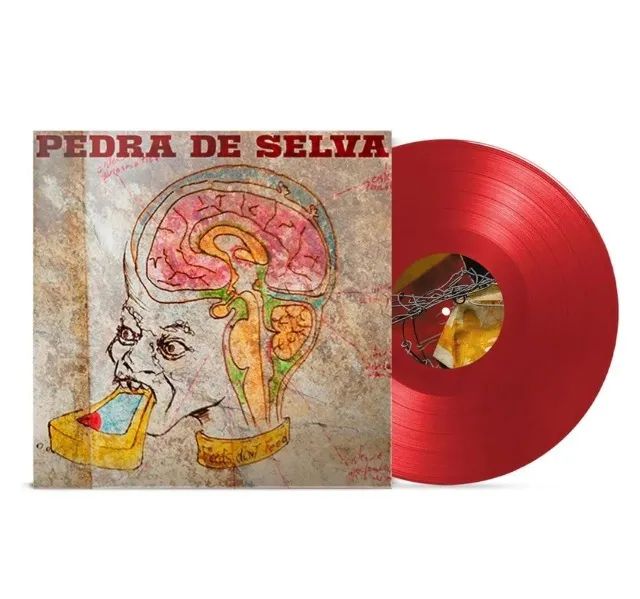 lp curumim pedra de selva