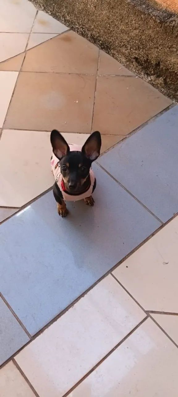 Vendo urgente  - Foto 4