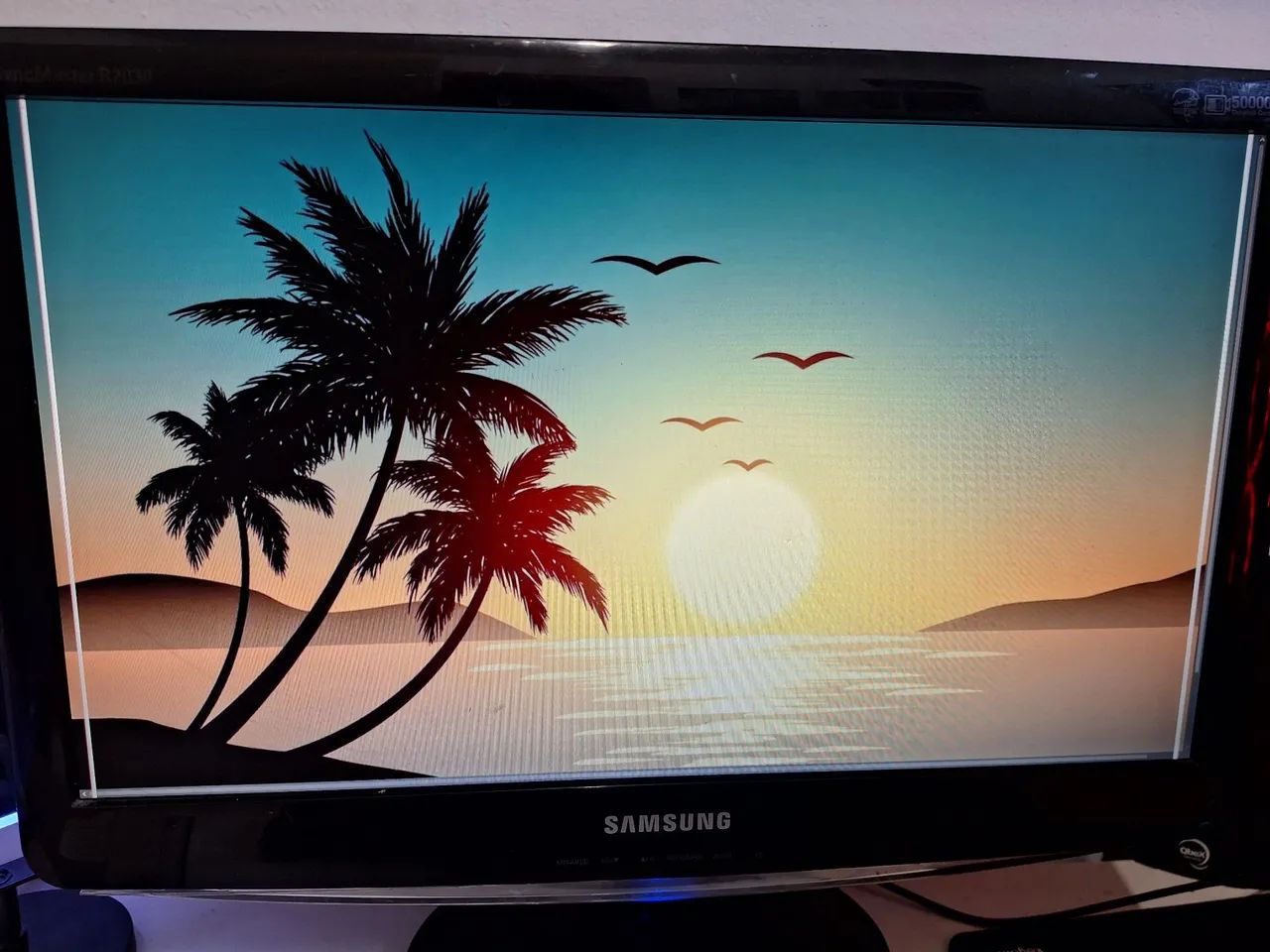 Monitor Samsung HD B2030N Usado - Foto 4