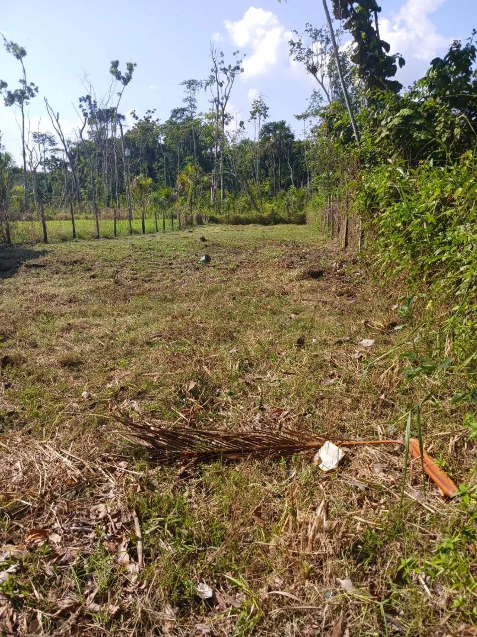Terreno à venda  - Foto 4