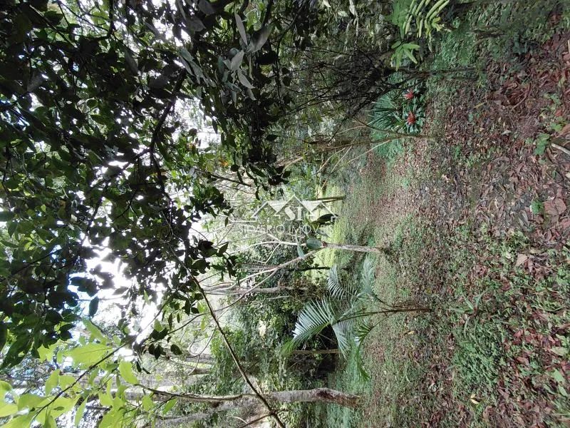 Terreno- Petrópolis, Itaipava - Foto 5