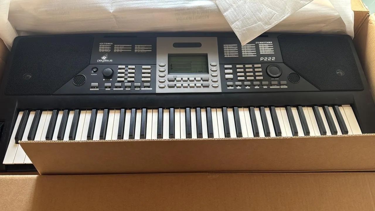 Teclado Pegasus P222 61 Teclas Ritmos Brasileiros Preto MIDI