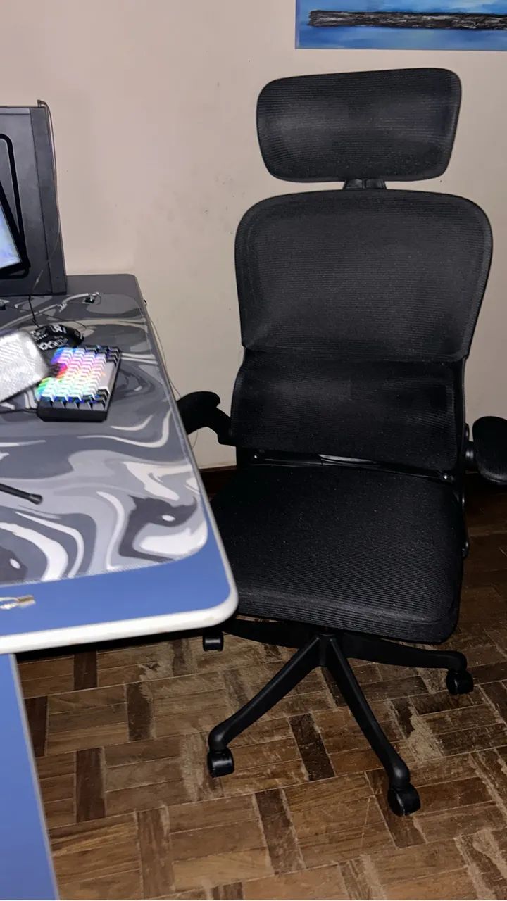 Cadeira Ergonomica