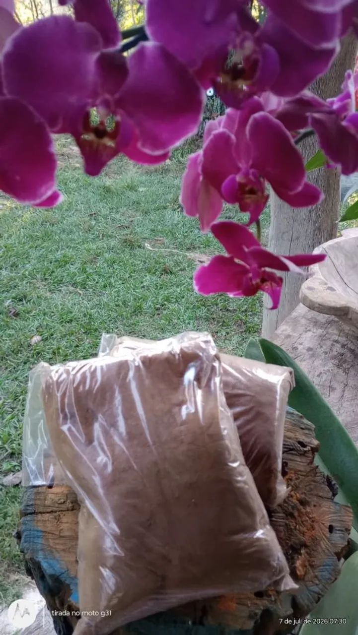 O melhor café orgânico  - Foto 2
