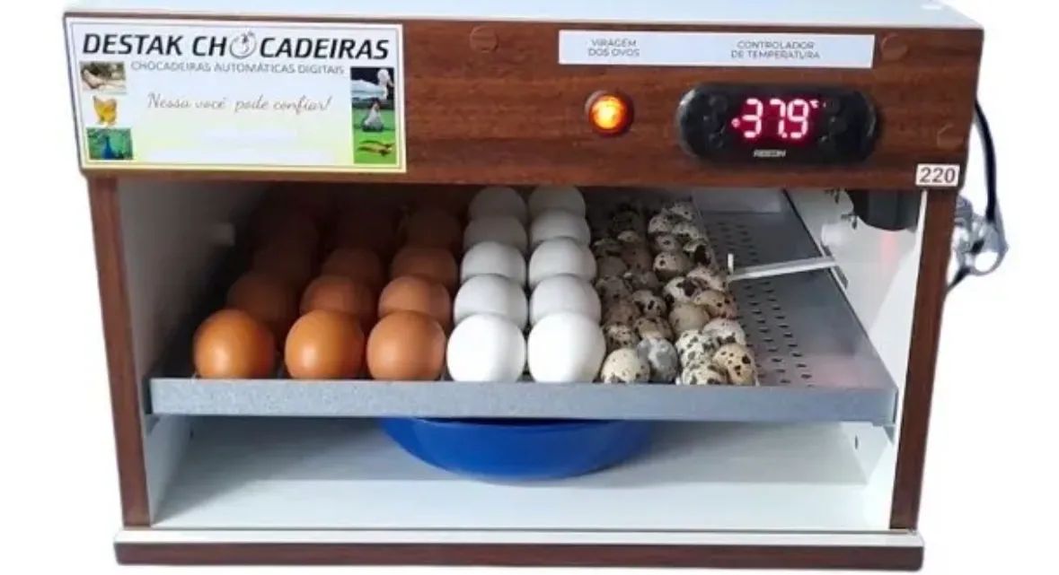 Chocadeira Destak 48 ovos  - Foto 3