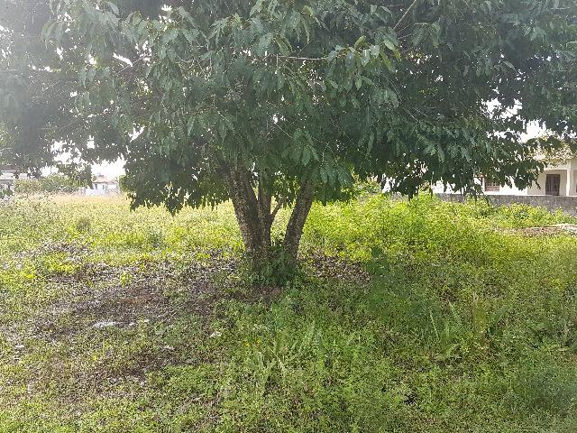 Terreno Serrambi 360 m2
