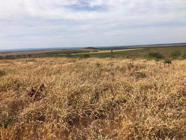 14 anos pagar, 1390 Hectares, 1000 Hectares pastagens, aberta, Limpa, Pecuária Comodoro-MT - Foto 12