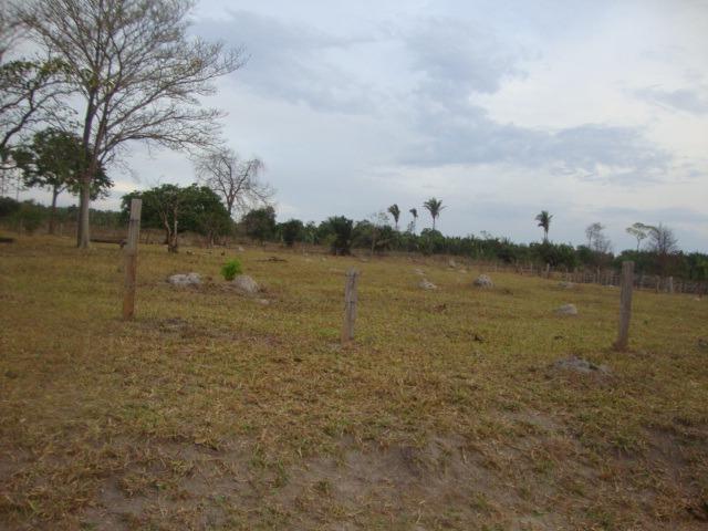 125 Alqueires. Pecuária Região Tangará Barra do Bugres-MT