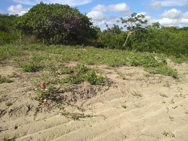 Oportunidade de ouro terreno na praia de ponta de pedras!! - Foto 4