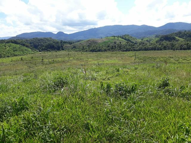 Fazenda completa - Foto 6